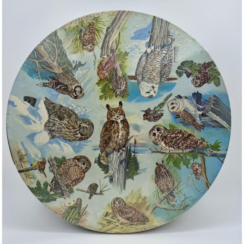 Vtg Springbok Circular Jigsaw Puzzle Owls 1973 New Sealed
